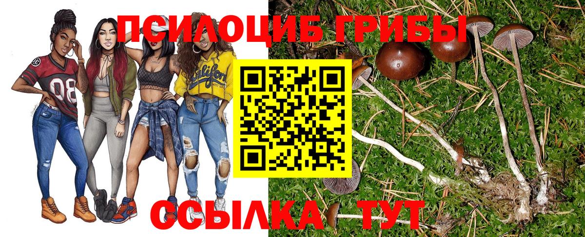 даркнет сайт  Галлюциногенные грибы Cubensis  Вход с VPN  Кострома 