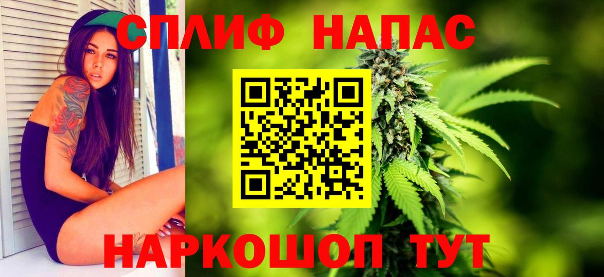 Каннабис MAZAR Кострома